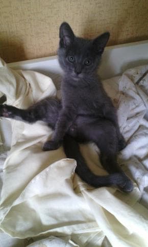 Дмитрий