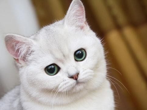 Марина