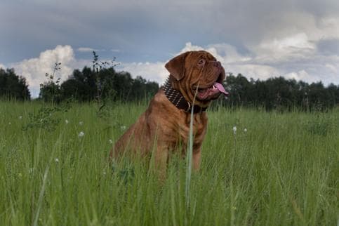Евгений